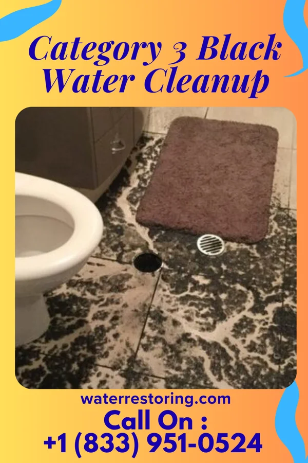 Category 3 Black Water Cleanup in Rio Grande, OH