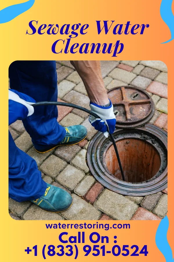 Sewage Water Cleanup in Rio Grande, OH