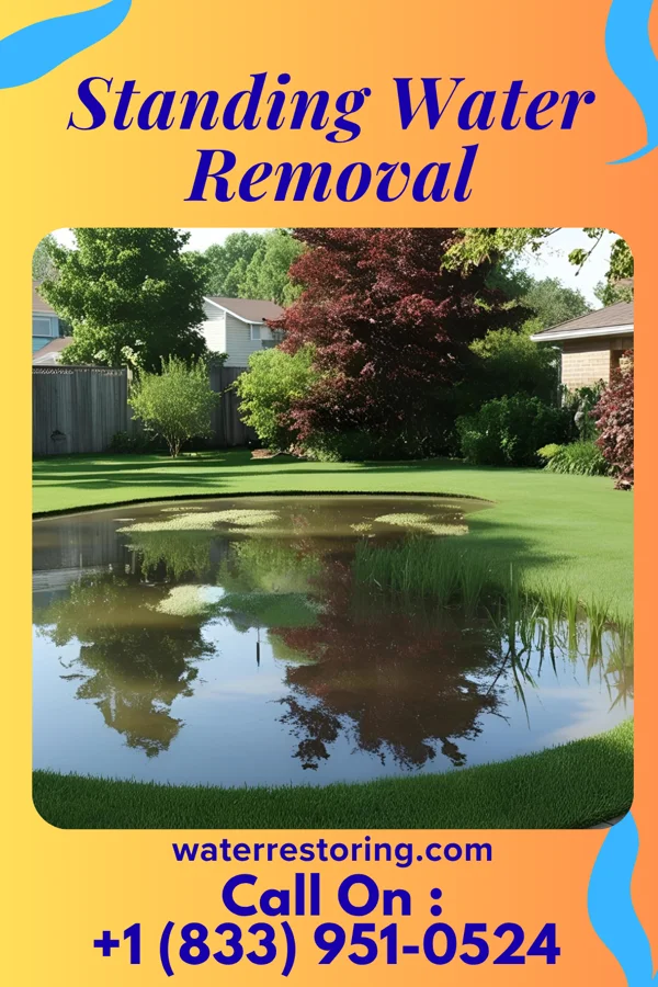 Standing Water Removal in Rio Grande, OH
